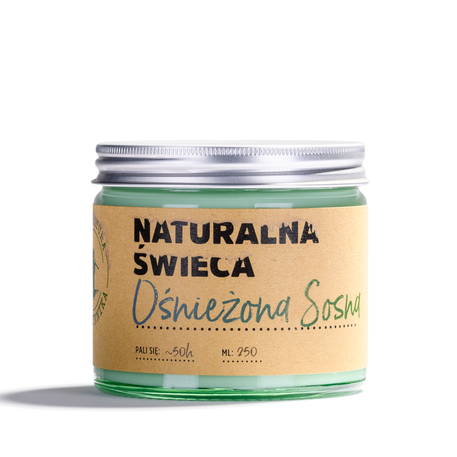 Natural Snow-covered Pine Soy Candle